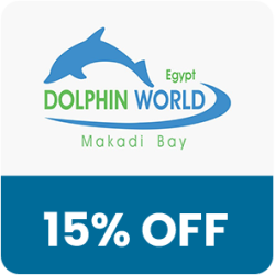 Dolphin Egypt